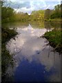 Stonydelph Lakes - From Footbridge