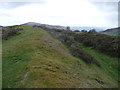 Bank and ditch at Twyn y Gaer hillfort