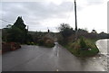 Lane in Nettlecombe