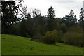 Montacute: view from the House towards St Michael