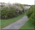 Watergate Lane on the edge of Leicester