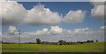 Oilseed rape near Wyke