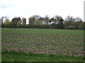 Farmland off Long Lane