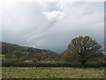 Rough Pasture Near Winscombe