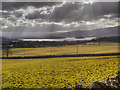 View Towards Loch Lomond