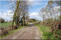 TQ8626 : Road to Methersham Farm by Julian P Guffogg