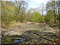 Dry pond, Putney Heath