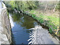 River Yealm at Langham Bridge, Cornwood