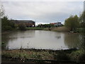 The Nature Area at Crewe Business Park