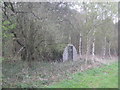 Nissen Hut on the edge of Big Wood