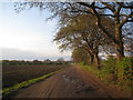 Track to Caistor Moor farm