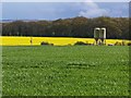 Twin silos amid bright green and yellow fields