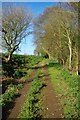 Footpath to Aldercar Road