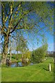 Upper Hill Farm Pond