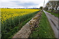 Road near Nestley Farm