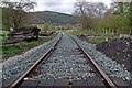 New Track near Carrog