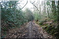 Muddy bridleway