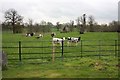 View from St Germanus, Faulkbourne churchyard