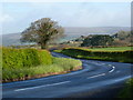 Road scene at a bend, between Lee Mill and Cornwood