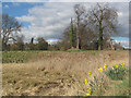 Looking towards the North West Corner of the Moat at Berkhamsted Castle