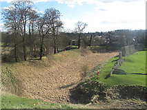 SP9908 : The Wide Inner and Wooded Outer Moats at Berkhamsted Castle by Chris Reynolds