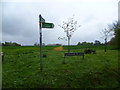 Footpath opposite Boorman