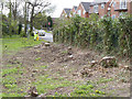 Tree stumps at Bramcote Lane