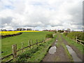 Lane up to East Rainton