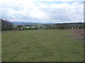 Ponies graze below Racecourse Common near Oswestry