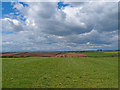 Farmland near Overland Farms