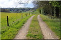 Track near Woefuldane Bottom