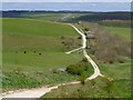 Track and downland, Upavon