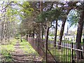 The path skirting Allerton Cemetery