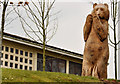 The "Bear of St Gall", Bangor