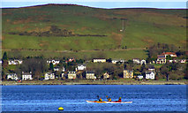 NS2377 : Kayaks off Gourock by Thomas Nugent