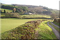 Track in the bottom of the Melindwr valley