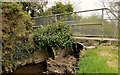 Footbridge, Crawfordsburn (1)