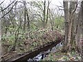 Ditch by Woodend Loch