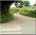 Lane west from the Usk road near Llanbadoc