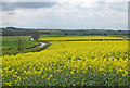 SE7868 : Crop fields off Welham Hill by Pauline E