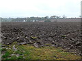 Freshly ploughed field, Llanychan