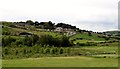 Rural settlement at Upper Tullyree