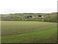 Spring cereals, Clydesdale