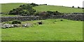 A section of the impressive enclosure wall around Drumena Cashel