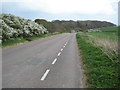 SY6885 : Road on Bincombe Down by Philip Halling