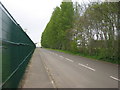 Tree-lined access road, Coleraine