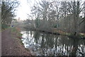 Basingstoke Canal