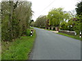 Willow tree on Deanland Road