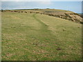 SY7084 : South Dorset Ridgeway by Philip Halling