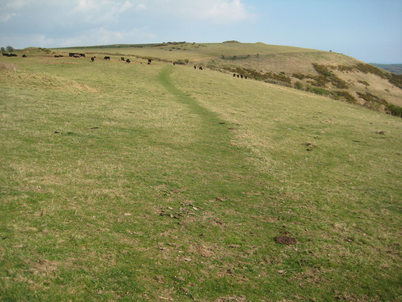 South Dorset Ridgeway © Philip Halling Cc-by-sa 2.0 :: Geograph Britain 